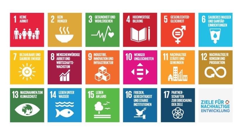 17 SDGs