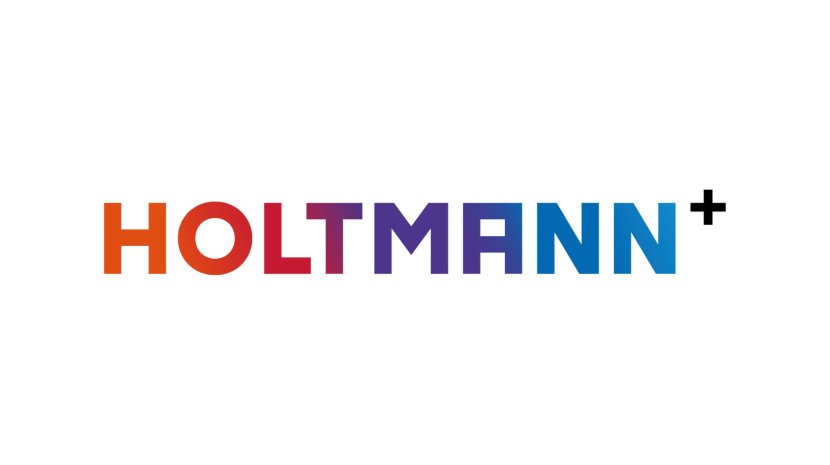 Holtmann Plus Logo