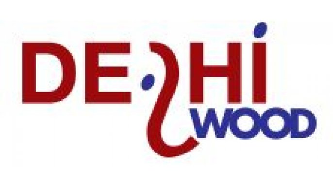 Logo DELHIWOOD