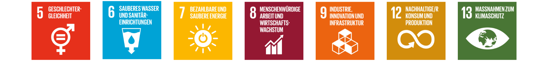 Handlungsfelder SDGs