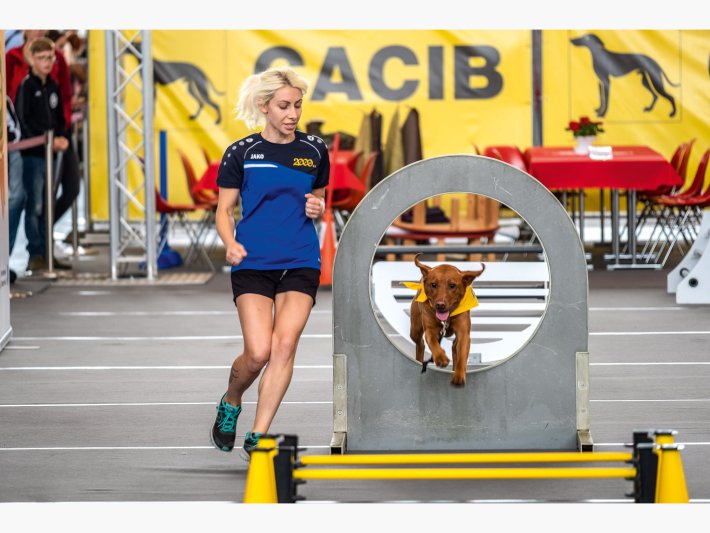 Messegeschehen auf der CACIB Messegeschehen auf der CACIB